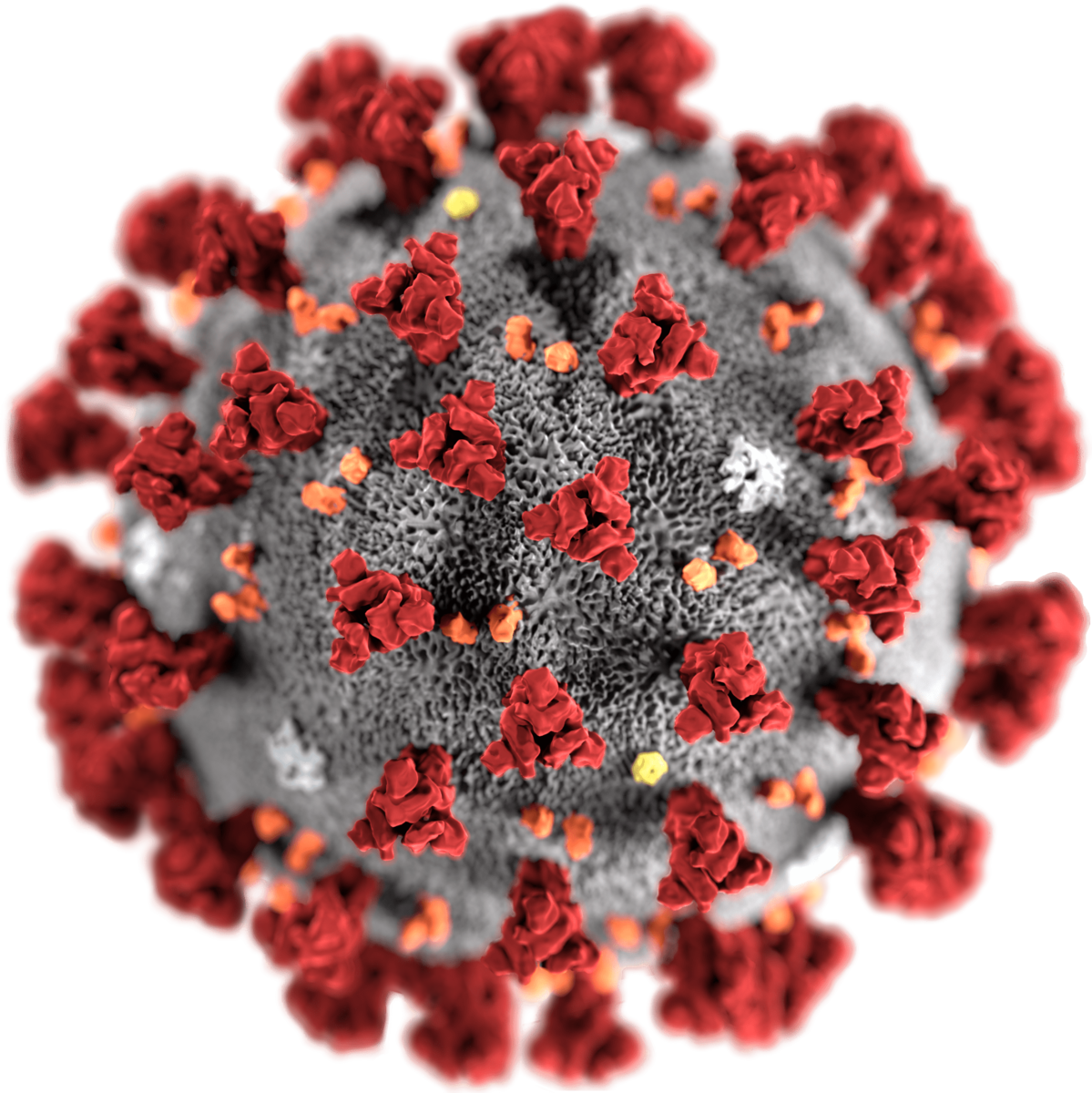 Koronavirus illustrasjon